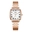 ROSEGOLD WHITE
